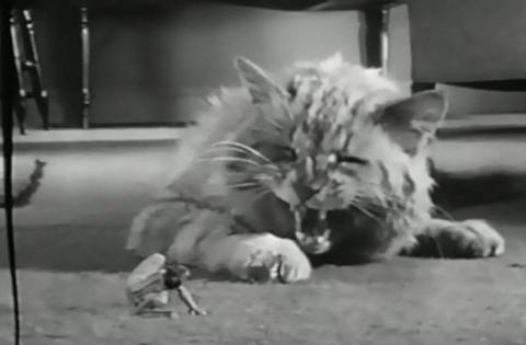 HOMME QUI RéTRéCIT - L | THE INCREDIBLE SHRINKING MAN | 1957