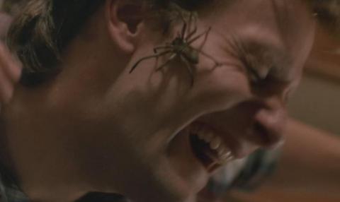 ARACHNOPHOBIE | ARACHNOPHOBIA | 1990