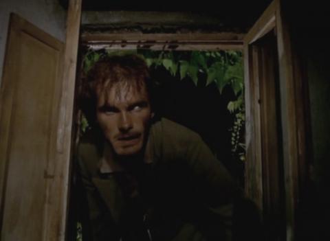 DEMENCE | TRHAUMA | 1980