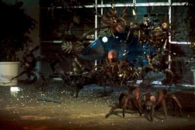 ARAC ATTACK | EIGHT LEGGED FREAKS | 2001