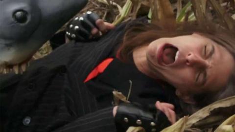 Sharks of the corn | Sharks of the corn | 2021