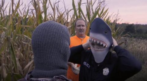 Sharks of the corn | Sharks of the corn | 2021