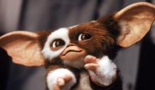 GREMLINS 3 ARRIVE !