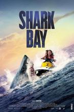 Sortie VOD : Shark Bay