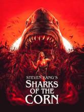 Sharks of the corn | Sharks of the corn | 2021
