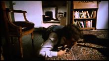 Embedded thumbnail for Stuff - the | Stuff - the | 1985