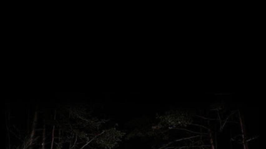 Horreur.com homepage fr