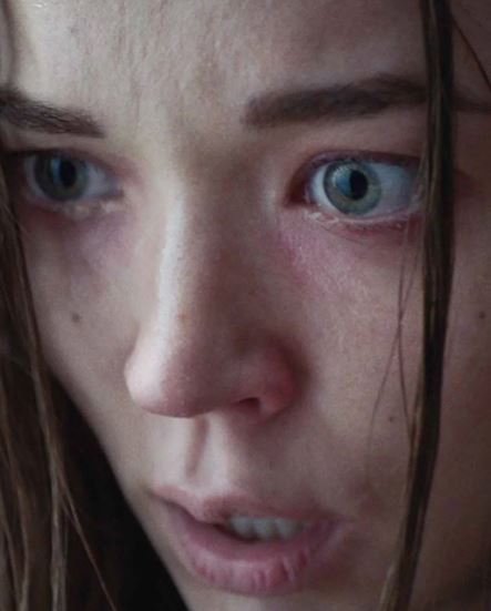 1BR : THE APARTMENT | 1BR | 2019