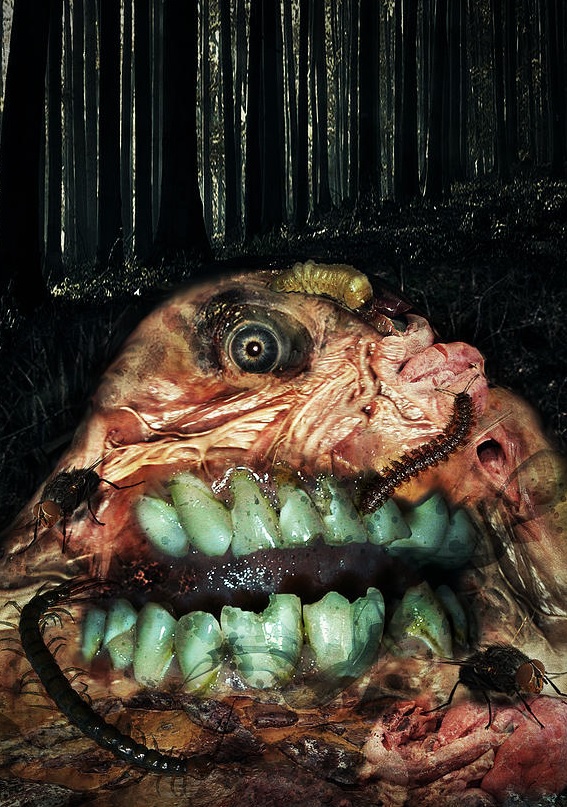 NUIT NOIRE | NUIT NOIRE | 2014