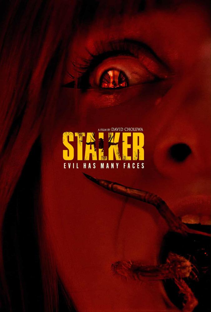 Stalker | Stalker | 2025