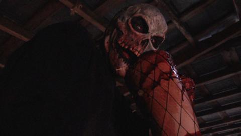 HEADLESS | HEADLESS | 2015