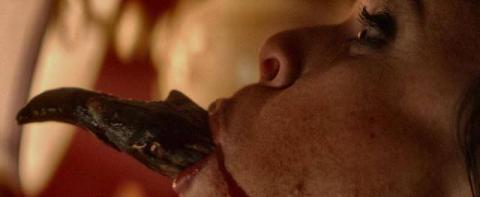 BLACK ROOM - THE | BLACK ROOM - THE | 2016