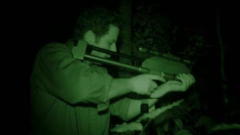 JUNGLE - THE | JUNGLE - THE | 2013