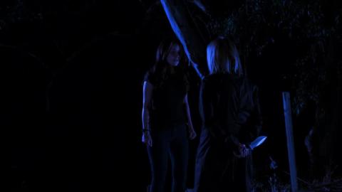VéRITABLE HISTOIRE DE BLANCHE NEIGE - LA | SNOW WHITE : A DEADLY SUMMER | 2012