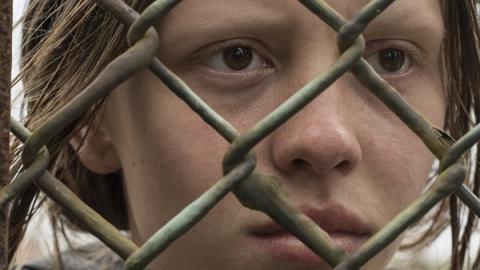 SURVIVALIST - THE | SURVIVALIST - THE | 2015