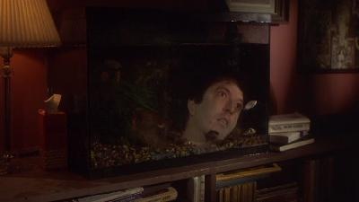APPELS AU MEURTRE | EYES OF A STRANGER | 1981