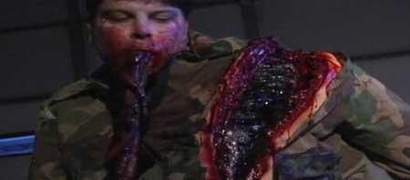 BLOOD PIGS | BLOOD PIGS | 2010