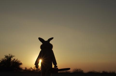 BUNNYMAN | BUNNYMAN | 2011