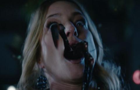 STUNG | STUNG | 2015