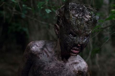 CUB | WELP | 2014