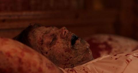 AMERICAN GUINEA PIG : SONG OF SOLOMON | AMERICAN GUINEA PIG : SONG OF SOLOMON | 2017