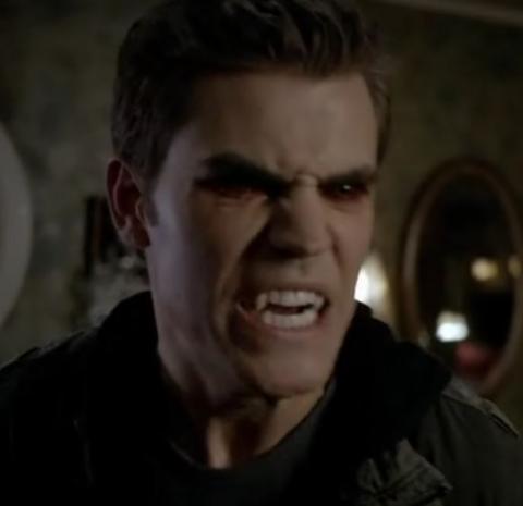 VAMPIRE DIARIES - THE (SAISON 1) | VAMPIRE DIARIES - THE | 2009