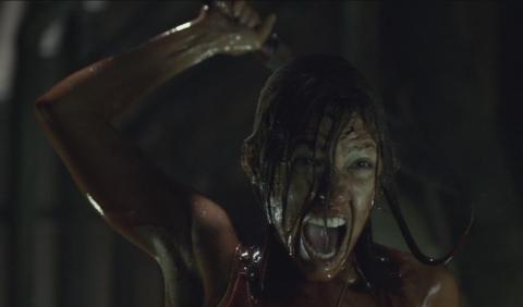 30 JOURS DE NUIT : JOURS SOMBRES | 30 DAYS OF NIGHT : DARK DAYS | 2010