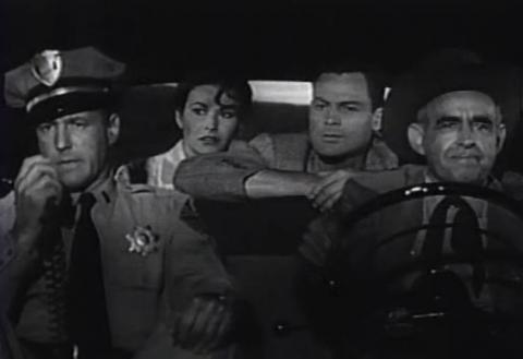 TARANTULA | TARANTULA | 1955