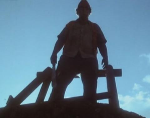 SURVIVANCE | JUST BEFORE DAWN | 1981