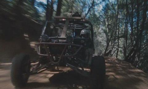 PIG HUNT | PIG HUNT | 2008