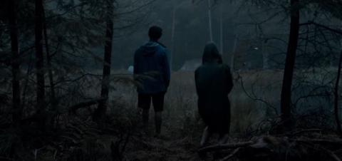 POOL (2014) - THE | DE POEL | 2014