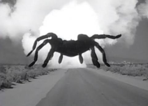 TARANTULA | TARANTULA | 1955