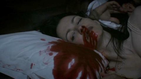 COLOUR FROM THE DARK | COLOUR FROM THE DARK | 2008