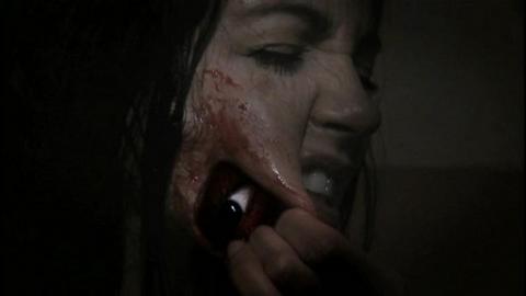 COLOUR FROM THE DARK | COLOUR FROM THE DARK | 2008