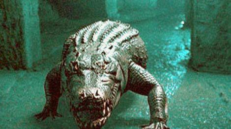 ALERTE AU CROCODILE ! | ZWEI ZUM FRESSEN GERN | 2006