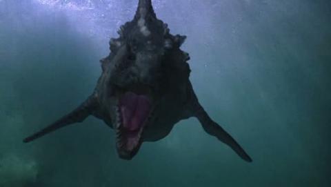 DINOSHARK | DINOSHARK | 2010