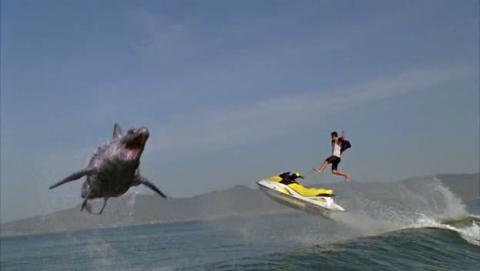 DINOSHARK | DINOSHARK | 2010