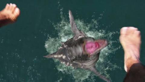 DINOSHARK | DINOSHARK | 2010