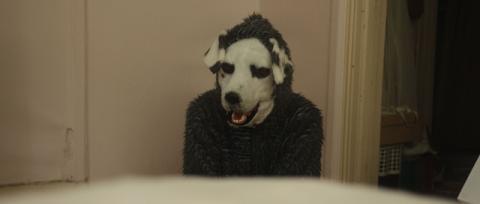 GOOD BOY | GOOD BOY | 2023