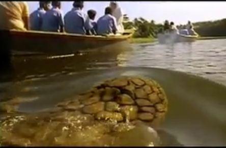 KILLER CROCODILE 2 | KILLER CROCODILE 2 | 1990