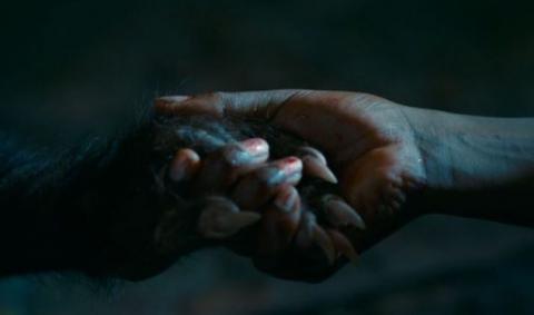 Les Bonnes Manières en DVD et Blu-Ray !!!