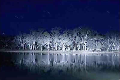 LAKE MUNGO | LAKE MUNGO | 2008