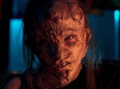 Nobody sleeps in the woods tonight 2 | W lesie dzis nie zasnie nikt II | 2021