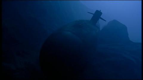 OCTOPUS | OCTOPUS | 2000