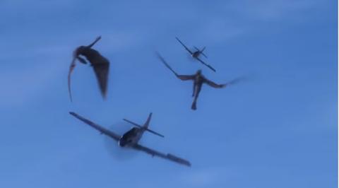 P-51 DRAGON FIGHTER | P-51 DRAGON FIGHTER | 2014