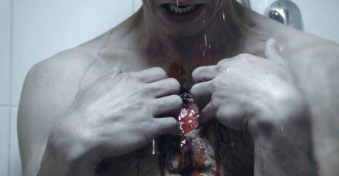 TASTE OF PHOBIA - A | TASTE OF PHOBIA - A | 2018