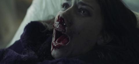 TASTE OF PHOBIA - A | TASTE OF PHOBIA - A | 2018