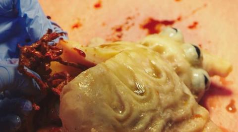 SCIENCE TEAM | SCIENCE TEAM | 2014