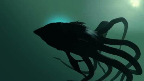 SHARKTOPUS | SHARKTOPUS | 2010