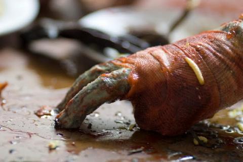 THANATOMORPHOSE | THANATOMORPHOSE | 02.10.2012